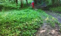 IMG_20220518_174708.jpg